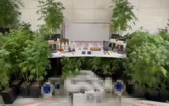 Bursa'da uyuşturucu operasyonu: 1 gözaltı