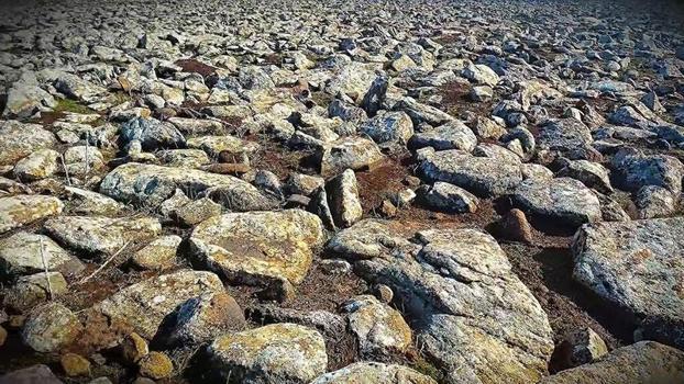 Şanlıurfa’da volkanik bazalt taşlarının altında cephanelik ele geçirildi: 8 gözaltı
