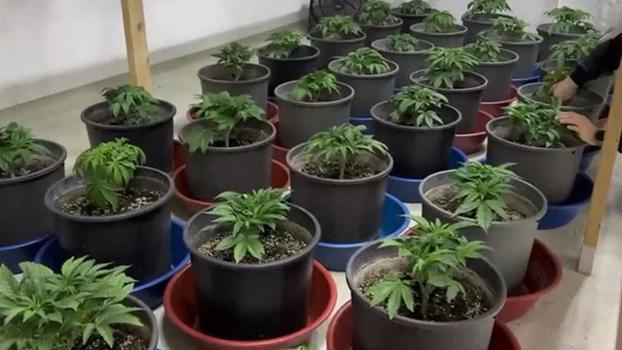 Maltepe'de uyuşturucu ticareti yapan 3 şüpheli yakalandı