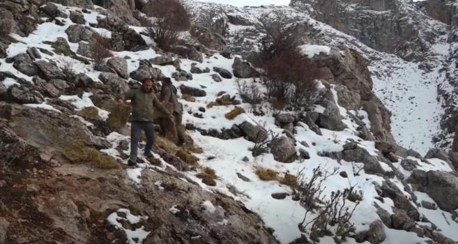 Demirkazık’ta yaban hayatını destekleme çalışması sürüyor