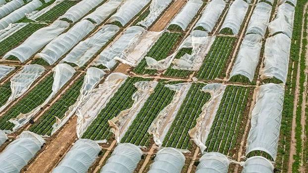 Antalya'da fırtına, hortum ve sel felaketinin faturası 3 milyar TL