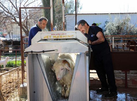 Verim artıyor, hastalık riski azalıyor