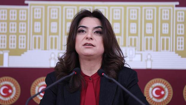 DEM Parti'li Koçyiğit: Süreç yasaları, hızlı bir şekilde Meclis'e getirilerek yasalaşmalı
