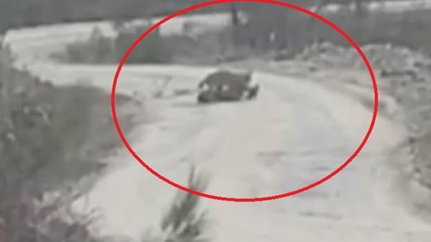 Vaşak, yaralı karacayı yerken görüntülendi