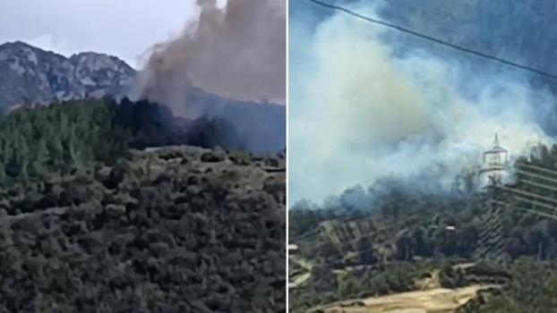 Osmaniye'de orman yangını