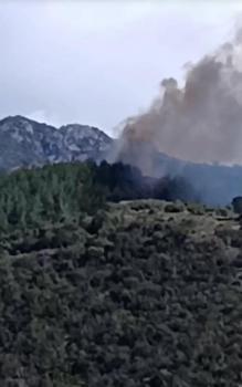 Osmaniye'de orman yangını