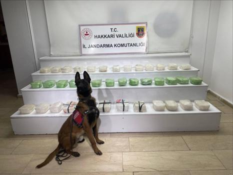 Yüksekova’da 59 kilo 971 gram uyuşturucu ele geçirildi; 3 gözaltı