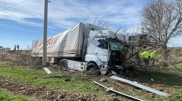 Yoldan çıkan TIR ağaca çarptı:1 yaralı