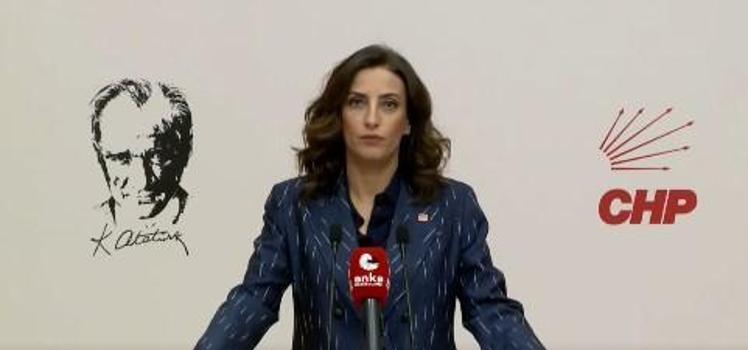 CHP'li Rızvanoğlu: Ormanlar bir kalem darbesiyle yok edilemez