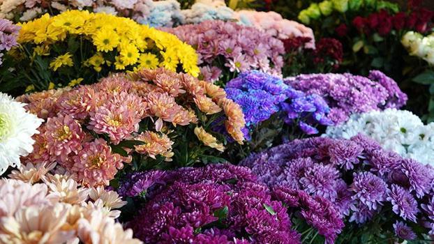 Kadınların en çok hemcinslerine çiçek gönderdiği özel gün; 8 Mart