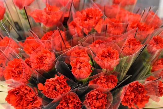 '8 Mart'ta kırmızı karanfil yoğun talep görüyor'