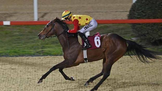 Dünya Kadınlar Günü Koşusu'nda kazanan Jaehaera oldu