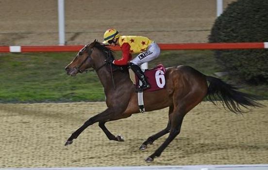 Dünya Kadınlar Günü Koşusu'nda kazanan Jaehaera oldu