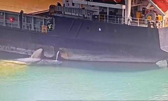 Mersin’de denizi kirleten gemiye 13 milyon 187 bin 913 TL ceza