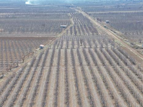 Geçen yıl zirai don nedeniyle verim alınamayan elmada 120 bin ton rekolte beklentisi / Ek fotoğraflar