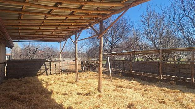 Sanal medyada tepki çeken besi çiftliğinde denetleme