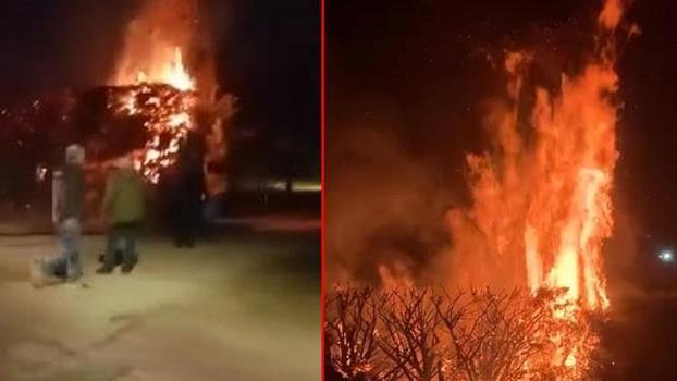 Parkta çıkan yangında ağaç zarar gördü