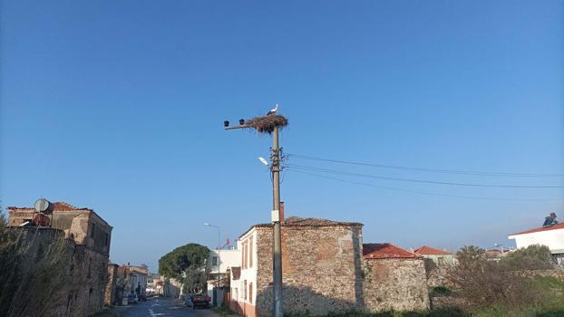 Küçükköy Mahallesi'ne baharın müjdecisi yılın ilk leyleği geldi