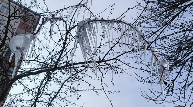 Kars'ta ağaçlar buz tuttu