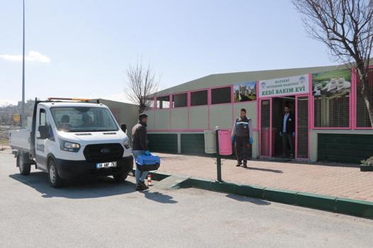 Kayseri Büyükşehir Belediyesi Kedi Bakım Evi patili dostlara yuva oluyor