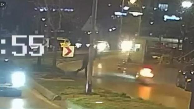 Kartal’da sürücünün 'dur' ihtarına uymadığı motosiklet ağaca çarptı