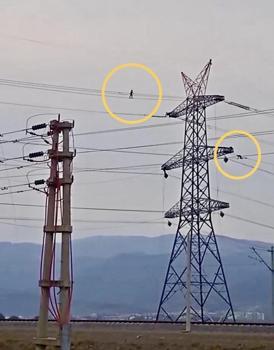 Yüksek gerilim hattında tehlikeli mesai