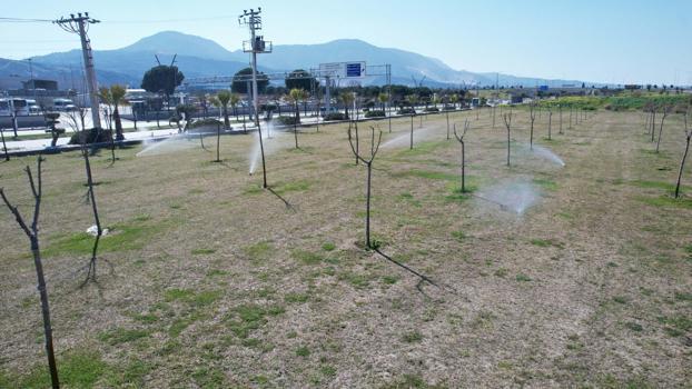 Manisa'da yeşil alanlarda akıllı sulama dönemi başladı