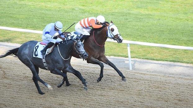 İzmir'de 64'üncü Hipodrom.com Ege Derbisi'nin kazananı The Protecter