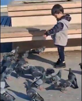 Çöp kamyonun altında kalıp ölen Serhat’ın son görüntüleri ortaya çıktı