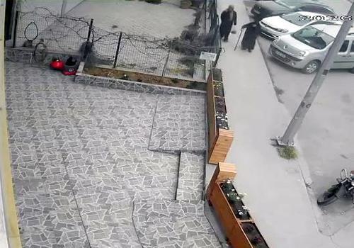 İstanbul - Avcılar’da bastonla geldi; iş yeri önündeki çiçekleri kökünden söküp çaldı