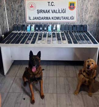 Şırnak’ta 1 haftada 34,5 milyon liralık kaçak ürün ele geçirildi