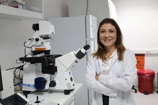 Kemik erimesinde yeni umut