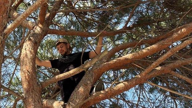 Avcılar’da çıktığı ağaçta mahsur kaldı; itfaiye merdiveniyle kurtarıldı