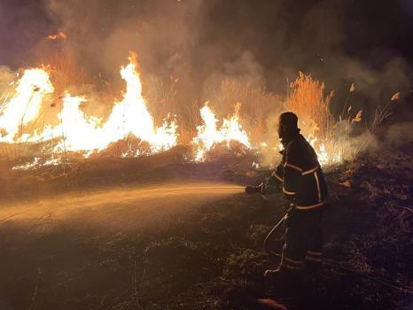 Sazlık yangını 3 saatte söndürüldü
