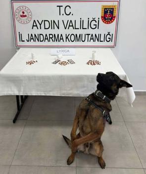 Aydın'da uyuşturucu operasyonu; 10 tutuklama