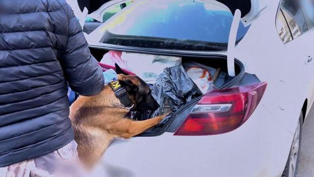 73 ilde uyuşturucu operasyonu; 475 tutuklama