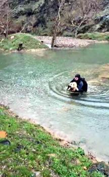 Suyla çevrili alanda mahsur kalan köpeği itfaiye eri kurtardı