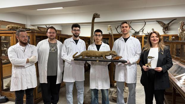 Doldurulmuş hayvan koleksiyonu, müzede korunuyor