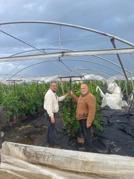 Mersin'de dolu ve fırtına seraları vurdu