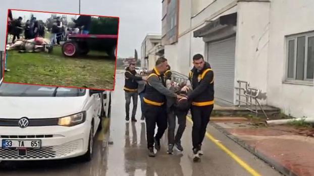 Koşmadığı gerekçesiyle ata şiddet uygulayıp bayıltan 2 şüpheli gözaltında