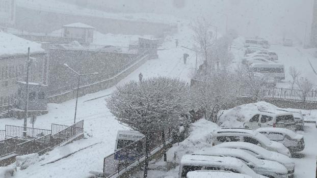 Yüksekova'da kar yağışı etkili oldu