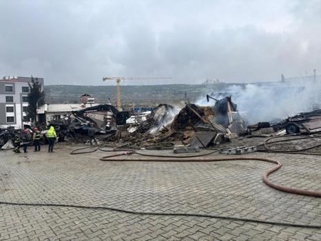 Ahır yangınında çok sayıda hayvan öldü