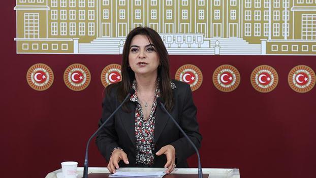 DEM Parti'li Koçyiğit: Hukuki düzenlemeler bütüncül perspektifle hayata geçirilmeli