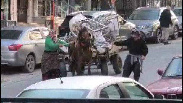 İstanbul – Avcılar’da aşırı yük taşıtılan ata sopa ve kemerli şiddet kamerada