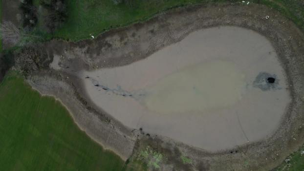 Göletin suyu boşalınca balıklar açıkta kaldı