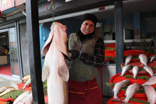 Munzur Çayı’nda yakaladığı 80 kiloluk turnayı sattı