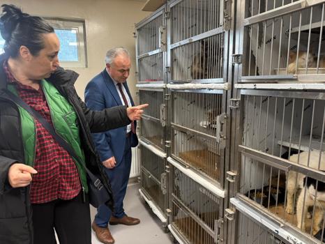 Ankara'da kötü şartlarda tutulan 102 hayvana el konuldu