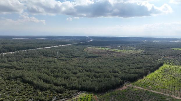 ‘81 İlde 81 Orman’ projesi ilkbahar dikimleriyle devam ediyor