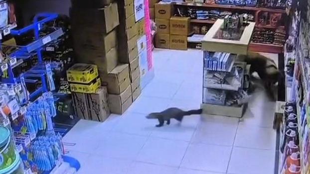 Sansar markete girdi