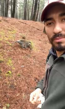 Ormanda gördüğü maymunu simitle besledi